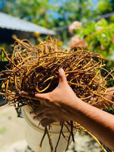 Load image into Gallery viewer, WholeSale Bulk Wildcrafted Honduras Sarsaparilla Dr. Sebi Approved High Iron Content
