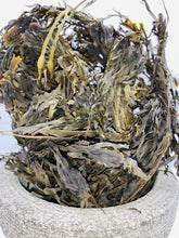 Load image into Gallery viewer, Wildcrafted whole leaf Bladderwrack (fucus vesiculosus) Powder wildcrafted &amp; harvested from the Atlantic Ocean
