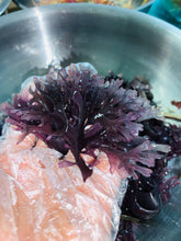 Load image into Gallery viewer, Wholesale Bulk Purple Chondrus Crispus 100% Raw &amp; Wildcrafted mineral rich nutrient dense superfood
