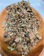 Load image into Gallery viewer, RED CLOVER (Trifolium pratense)

