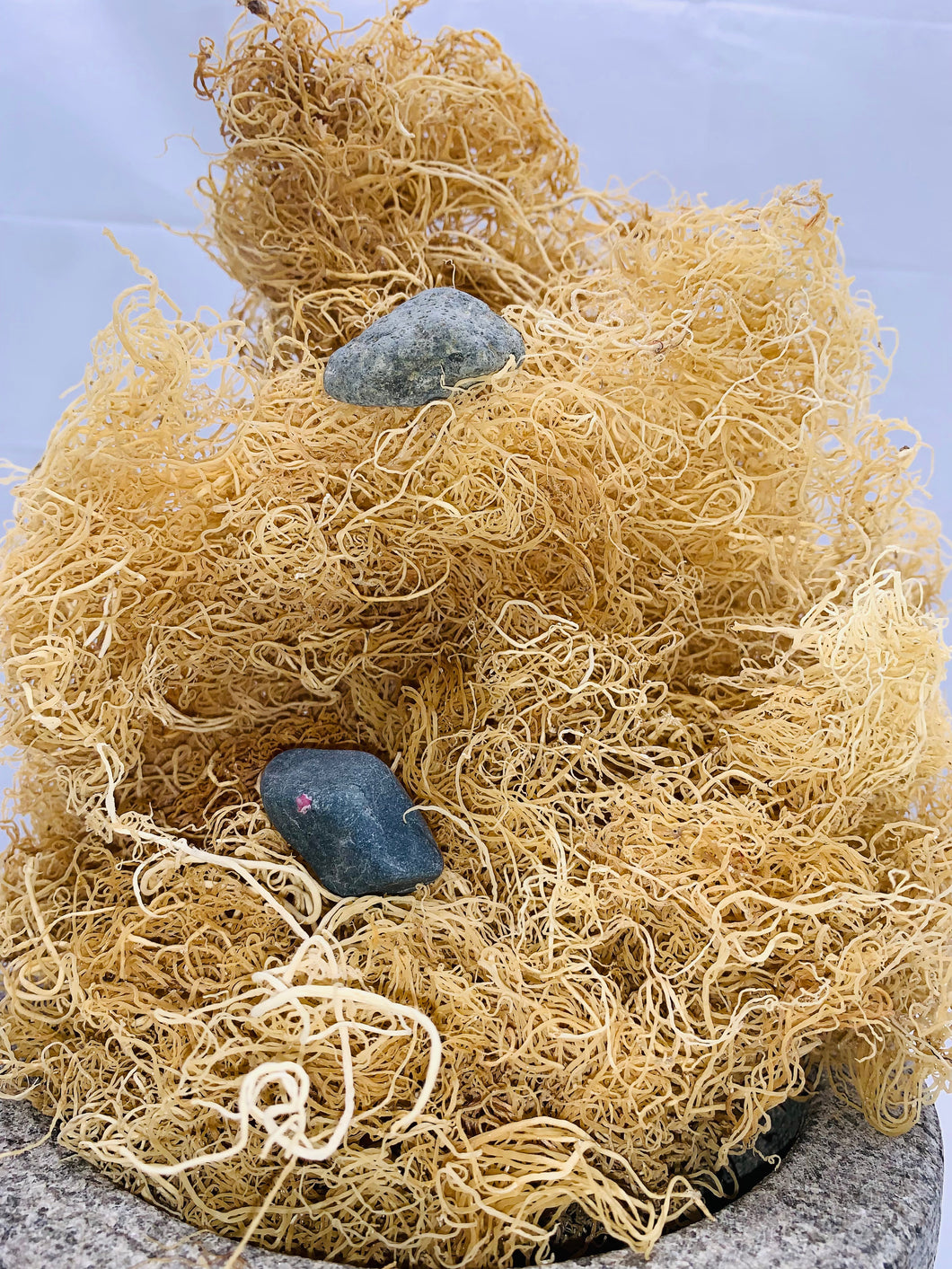 100% Wildcrafted Sun Dried Gold gracilaria sea moss approved golden sea moss)